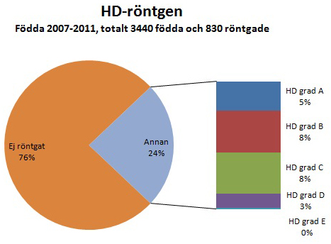 Hd resultat